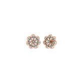 18K Gold & Diamond Women Earring KER-21